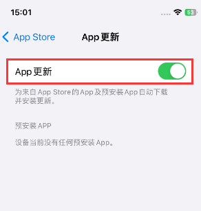 方城苹果15维修中心如何让iPhone15APP自动更新