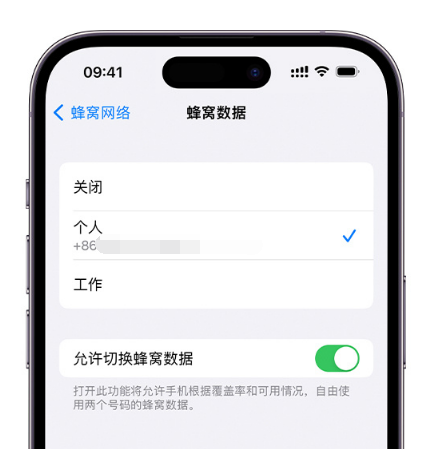 方城苹果维修服务分享如何在iPhone上使用双卡 